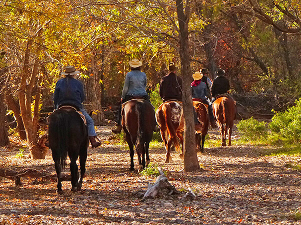 An authentic dude ranch experience