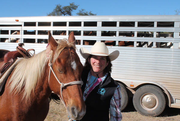 Long distance hauling with your horse