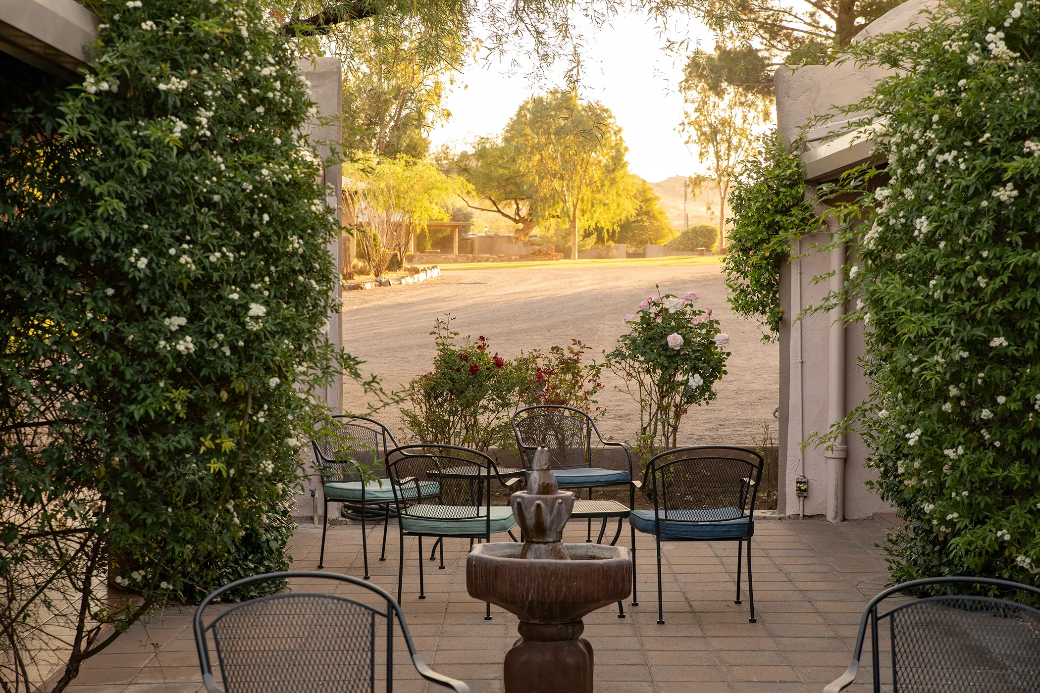 circle-z-casa-rosa-exterior-2