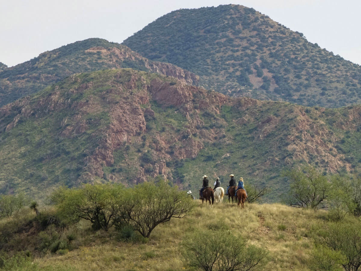 Regular Horseback Rides