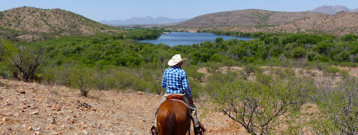 Regular Horseback Rides