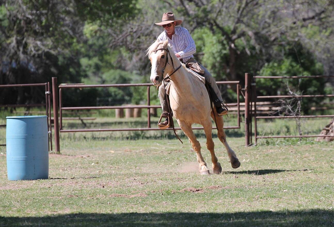 Gymkhana Horse Games