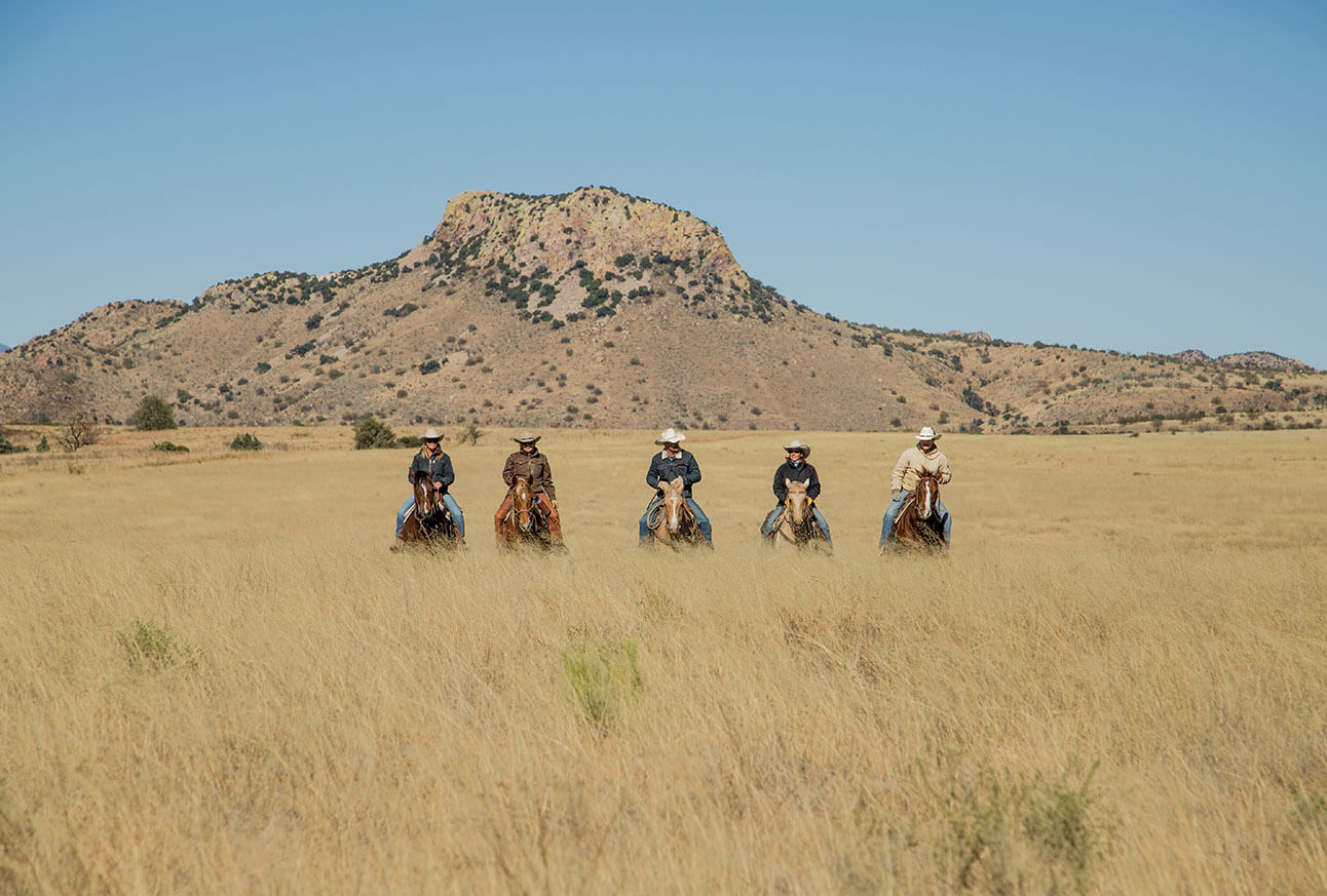 Horseback Riding
