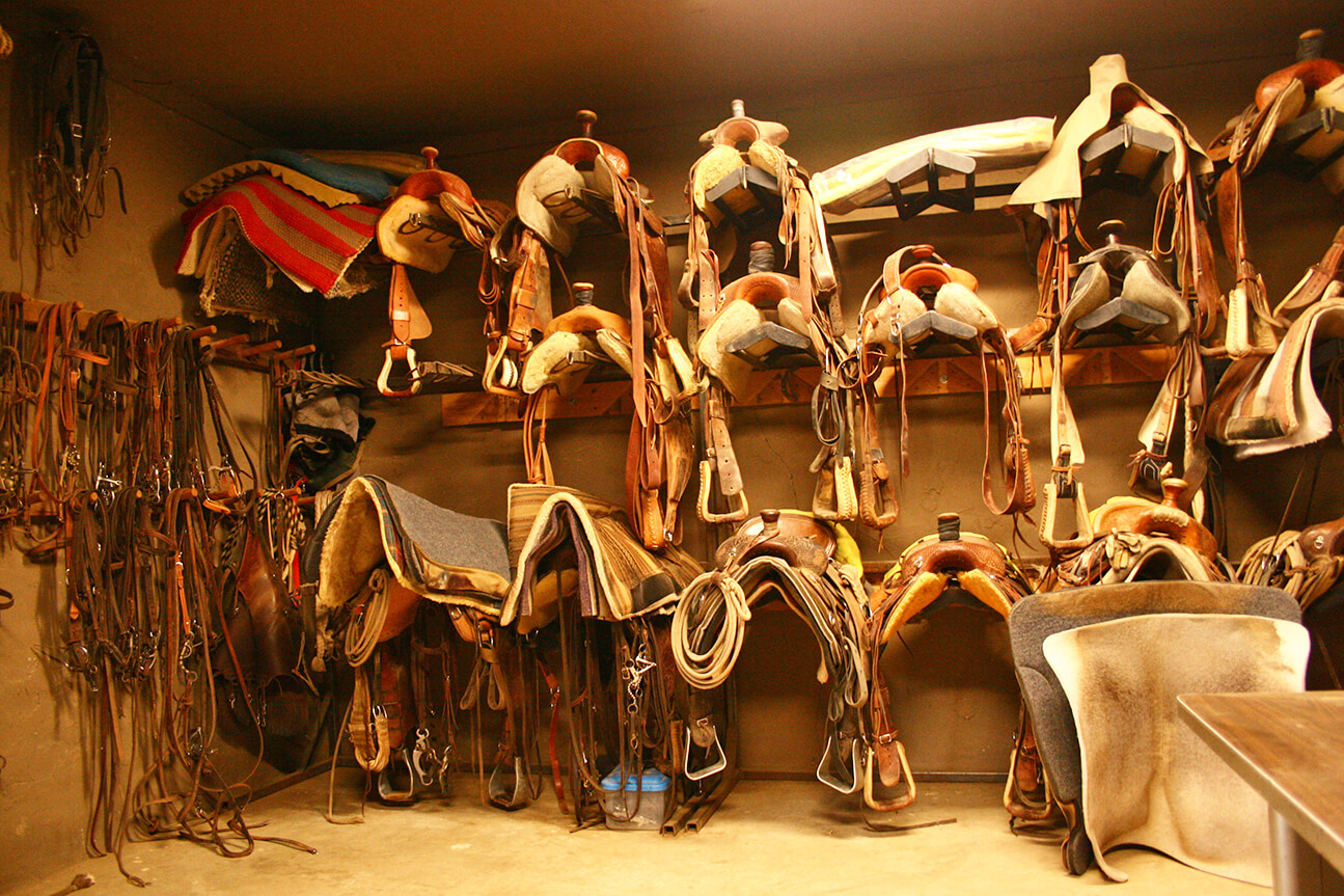 Room and Riding Amenities