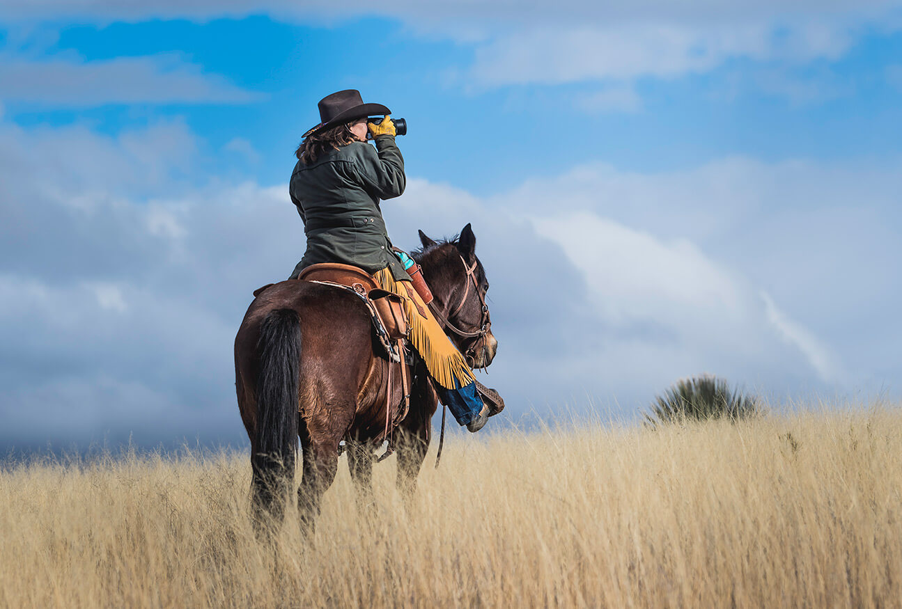 photography-1 Photography on Horseback
