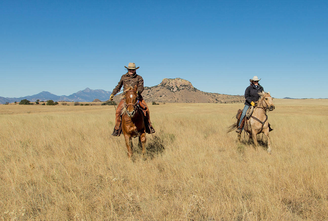 Walking and Loping Rides