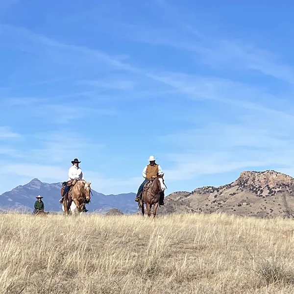 horsseback-riding-trail-IMG_7480
